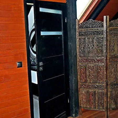 Old Attic House