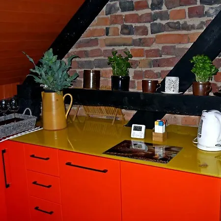 Old Attic House Appartamento